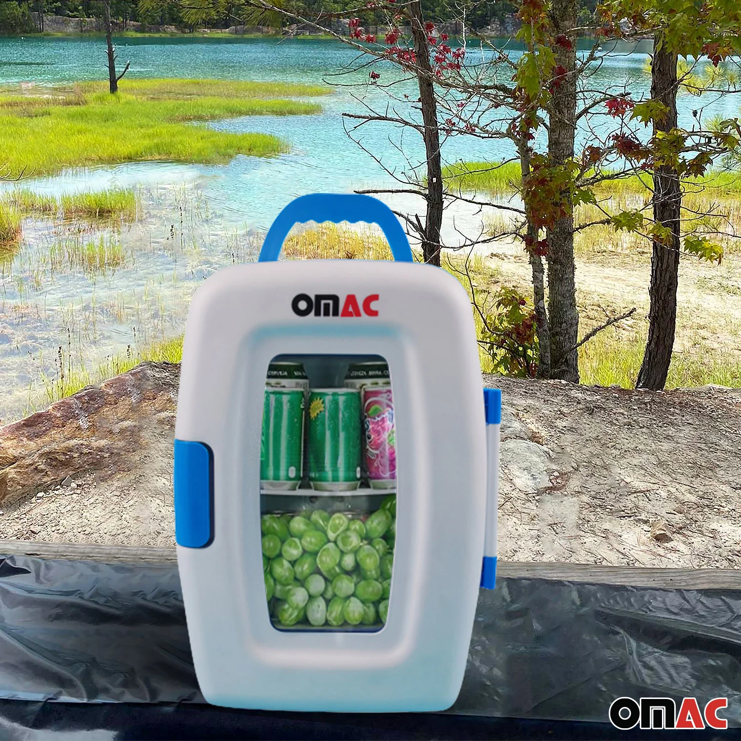 10L Portable Cooler and Warmer Car Refrigerator Outdoor 12V Mini Camping Fridge - Image 8