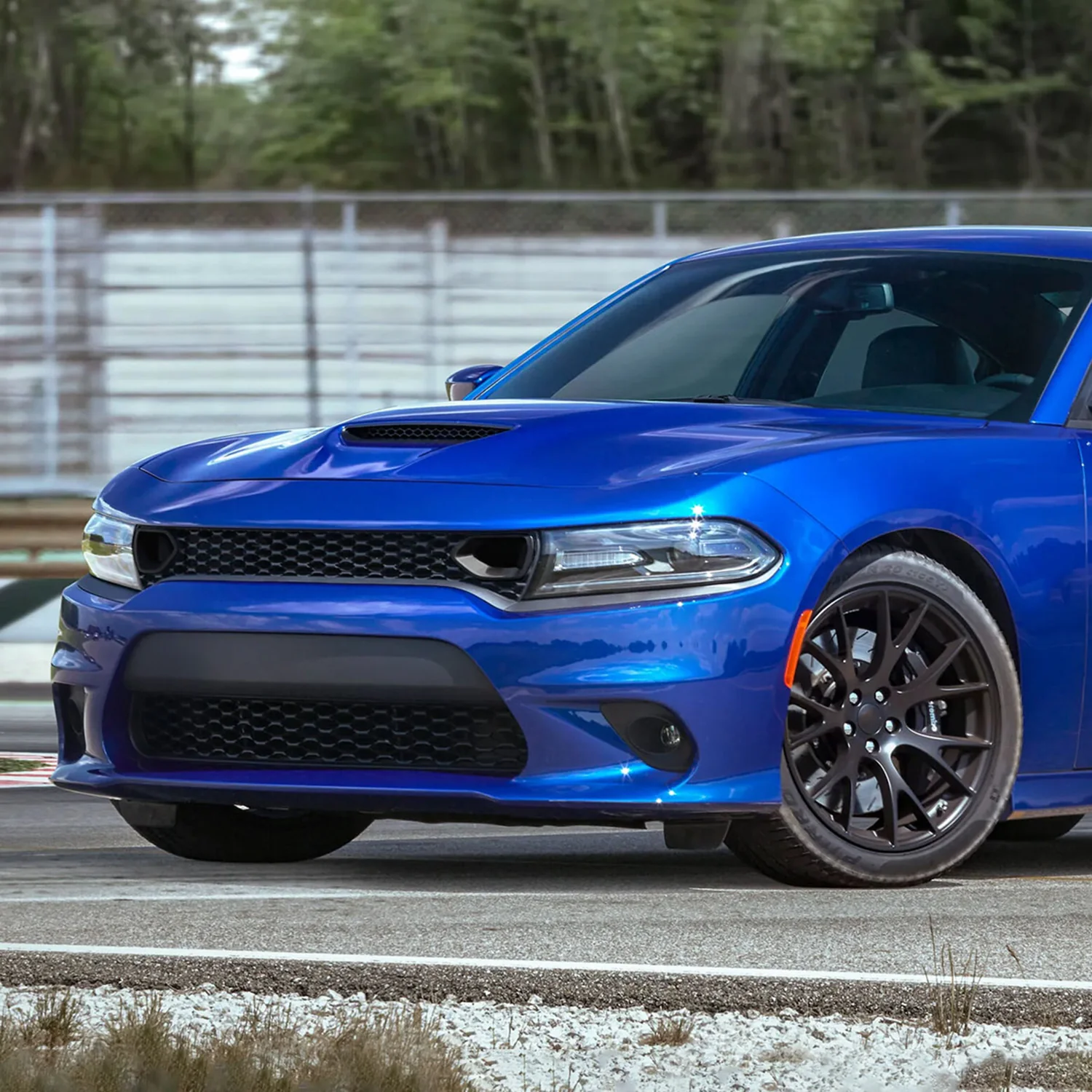 2015-2022 Dodge Charger SRT/RT/GT/ Black Dual Snorkel Front Upper Grille - Image 8