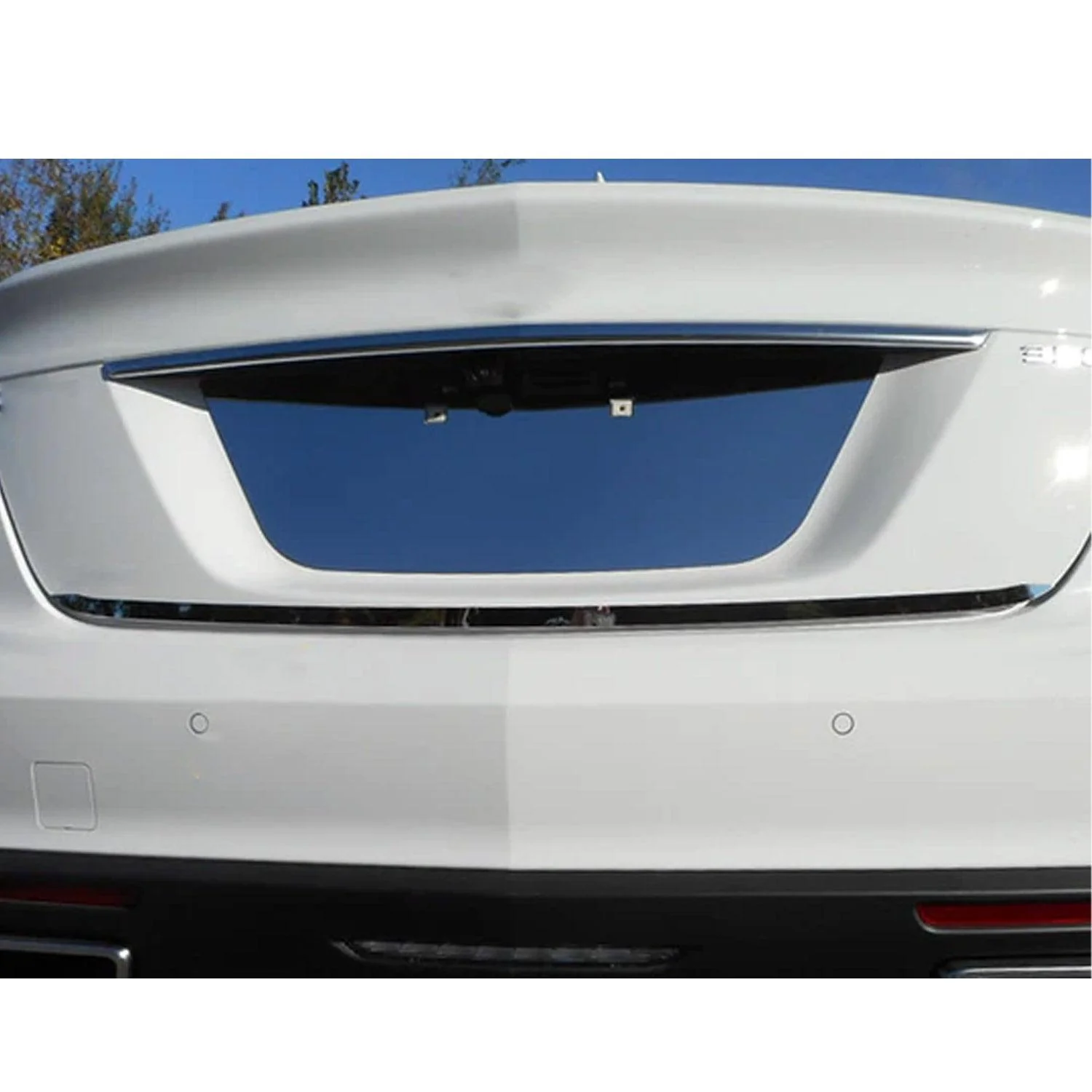 2020-2025 Cadillac CT5 OMAC Stainless Steel Rear Bumper Accent 1Pc