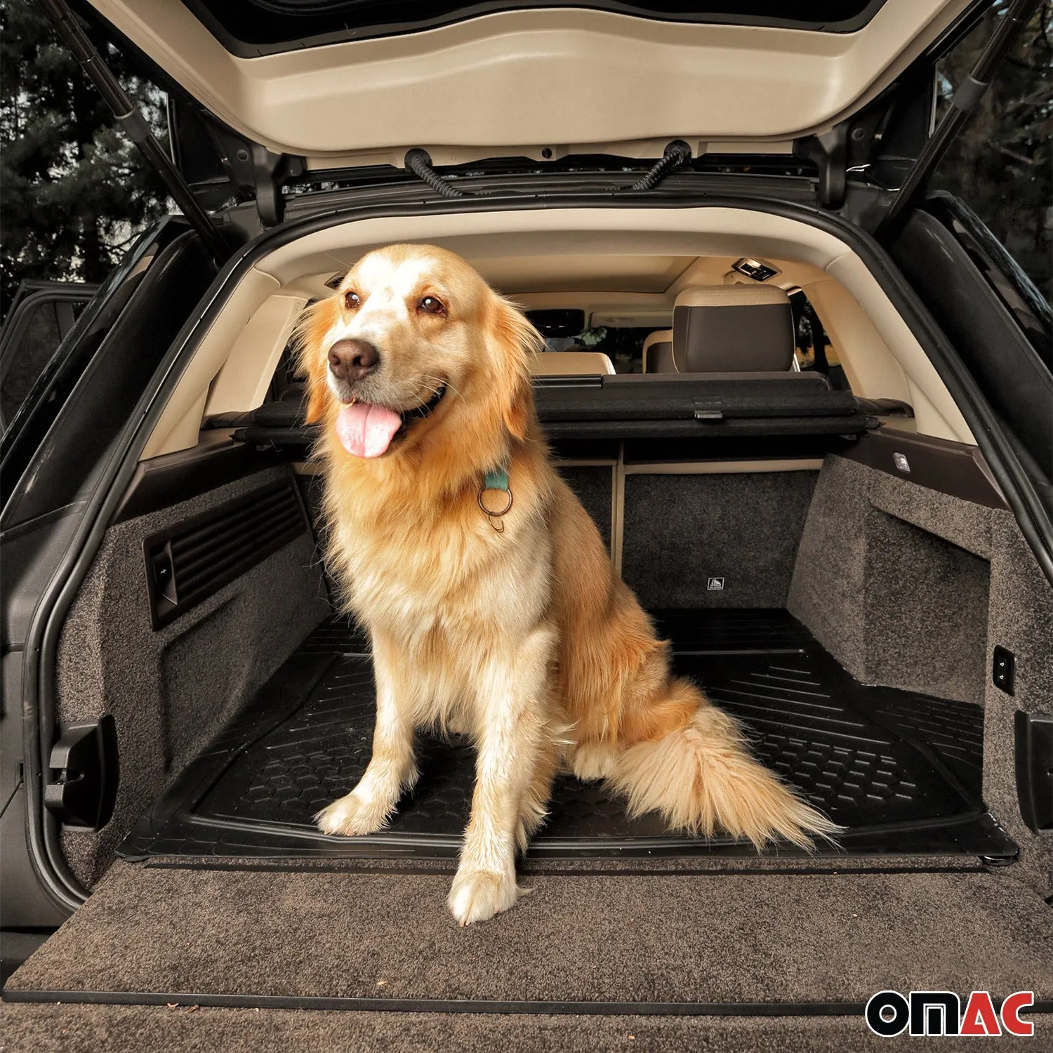 Chevrolet Express Semi-Custom fit Cargo Mat Liner Waterproof Rubber Black 1Pc - Image 6